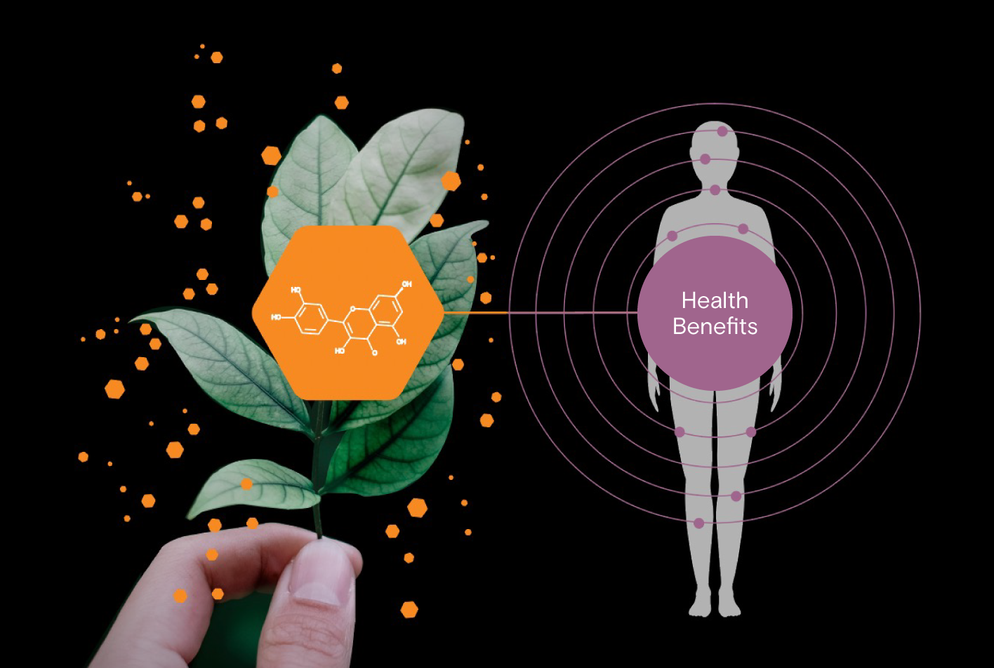 Brightseed's A.I., Forager®, Explained